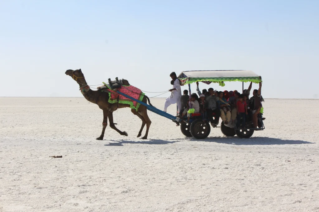 Rann of Kutch